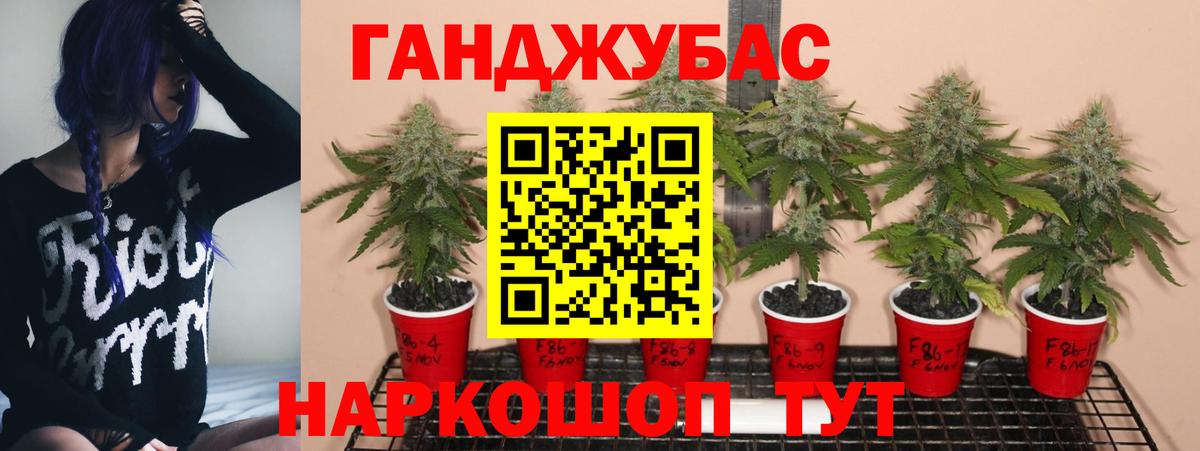 Шишки марихуана THC 21%  Марихуана индика  Вход с VPN  Аша 